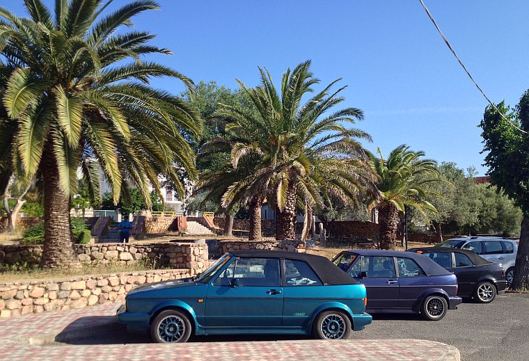 Das Bild zeigt Fahrzeuge, die in einer Reihe parken, sie stehen vor Palmen.